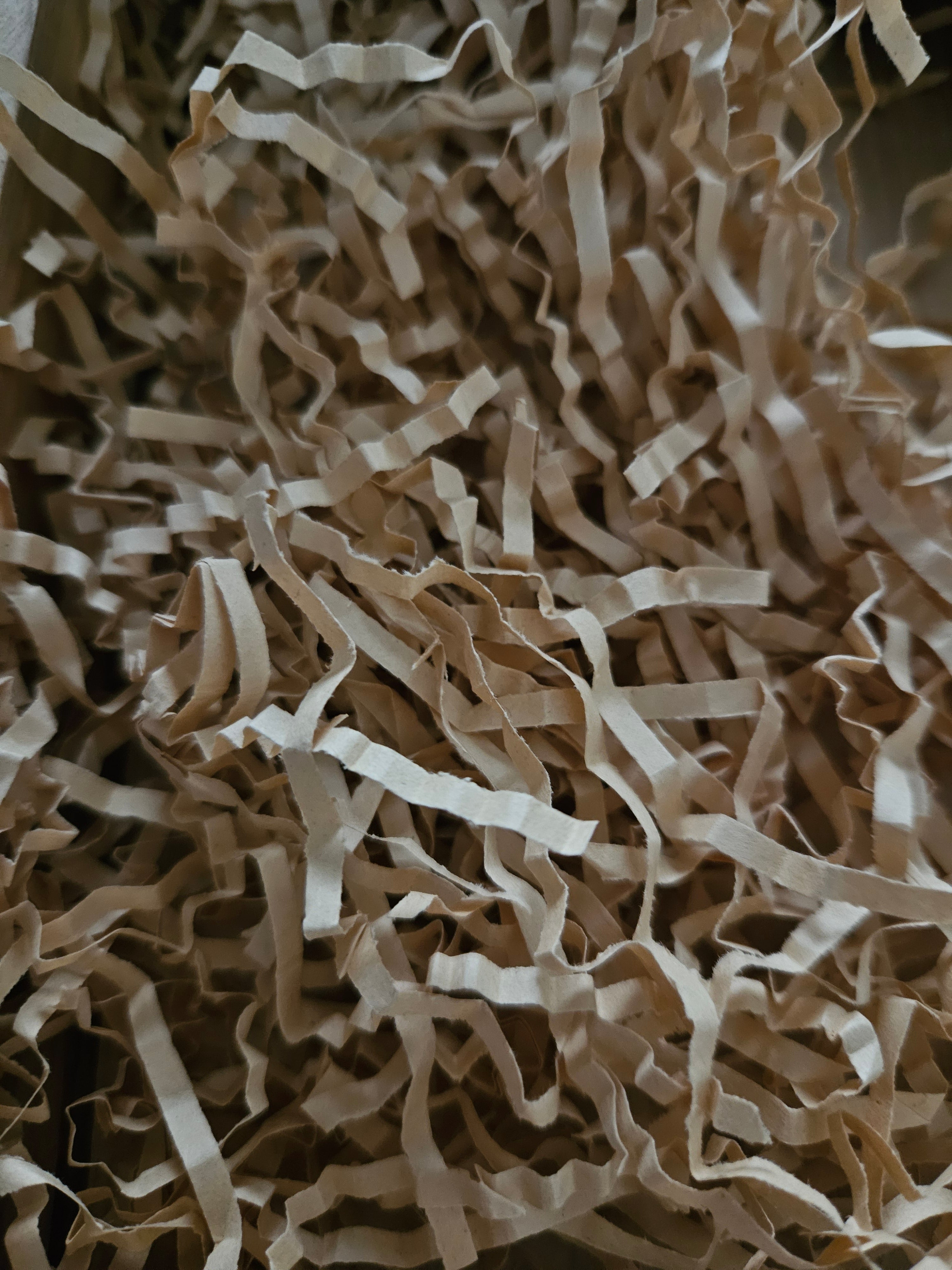 Frisure papier